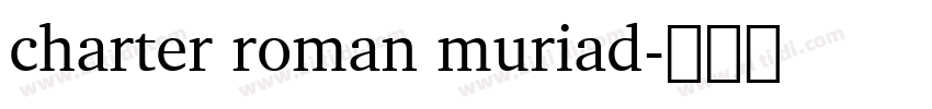 charter roman muriad字体转换
